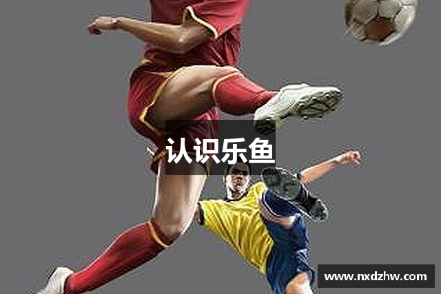 认识乐鱼
